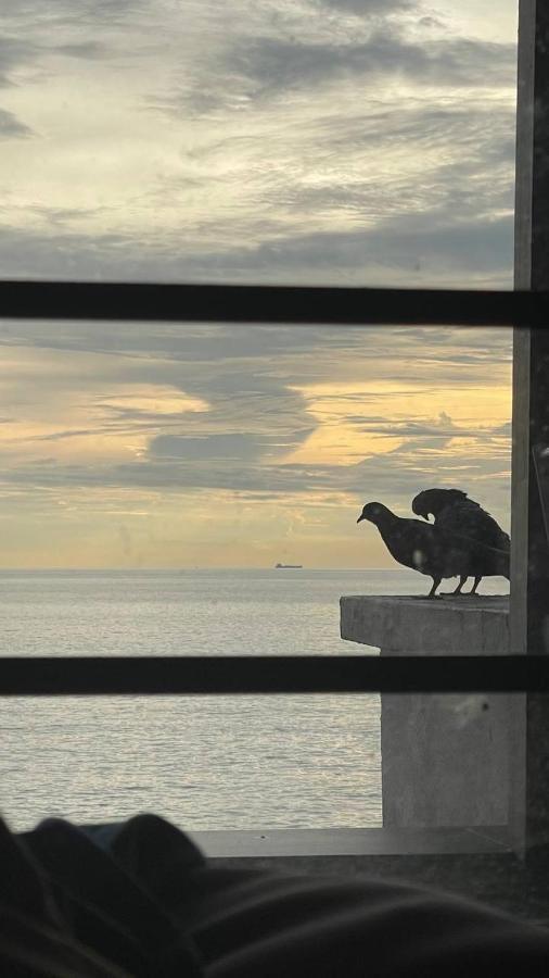Seaview Holiday Home ポートディクソン エクステリア 写真